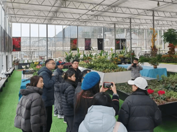 世界杯官网学子走进盐亭县：以青年智慧探索农业现...